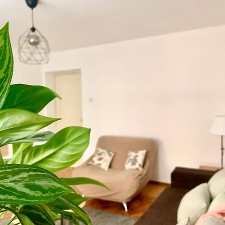 Star Apartment 2 Beograd Ngoại thất bức ảnh